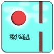 Sky Ball