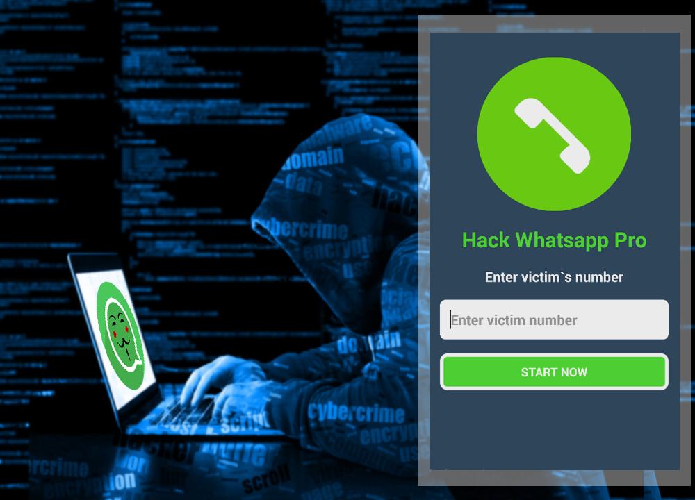 Hack Whatsapp Broma For Android Apk Download - como hackear cuentas de roblox de tu amigo a youtube