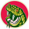 Super Slither Snake APK