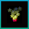 Particle Designer APK