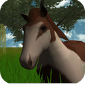 VR Horse