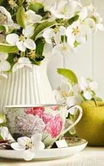 ジャスミンライブ壁紙 アプリダウンロード