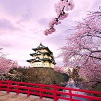 Japan Gambar Animasi screenshot 3