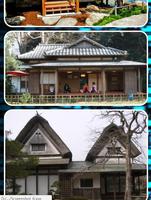 Japon Maisons traditionnelles capture d'écran 2