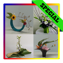Ikebana Blumenmuster APK
