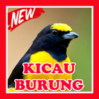 Kicau Burung Terbaru Lengkap icon