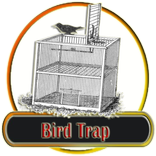 Bird Trap