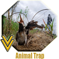 Animal Trap