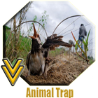 Animal Trap icône
