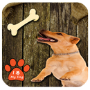 Dog Training Simulator APK