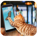 Feather For Cat Simulator APK