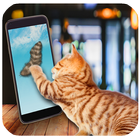Feather For Cat Simulator icon