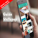 APK Wallapop Guide Costumer