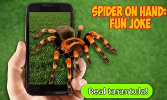 پوستر Scary Spider AR