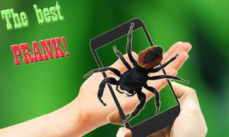 برنامه‌نما Scary Spider AR عکس از صفحه