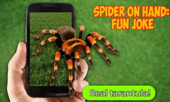 برنامه‌نما Scary Spider AR عکس از صفحه