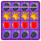 Fruit Shatter Turbo icon