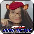 Kumpulan Video Tik Tok APK
