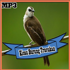 Kumpulan Kicau Burung Trucukan  Mp3 2017 иконка