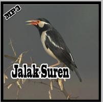 Kumpulan Jalak Suren Gacor Juara Mp3 2017 screenshot 1