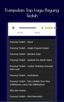 Lagu Lagu Hits Payung Teduh - Mp3 captura de pantalla 3