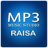 برنامه‌نما Kumpulan Lagu RAISA mp3 عکس از صفحه