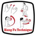 Kung Fu Technique