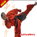 Best Kung Fu Learning Technique
