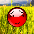Red Ball Adventure icono