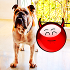 Red Ball Shake Pet Egg ikona