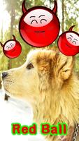 Red Ball Agite Pet Egg Cartaz