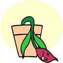 Quick Collect Flower APK