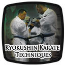 Kyokushin Karate Techniques APK