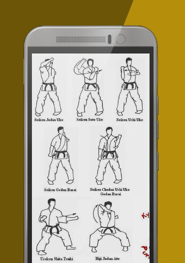 Kyokushin Karate Techniques APK per Android Download