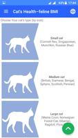 Cat’s Health – feline BMI Affiche