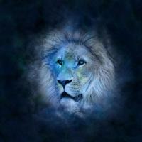 Horoscope Lion Jour en Français  - Signe Zodiaque plakat