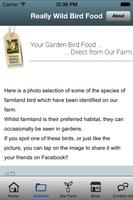 Really Wild Bird Food 截图 1