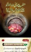 Islamic Books скриншот 1