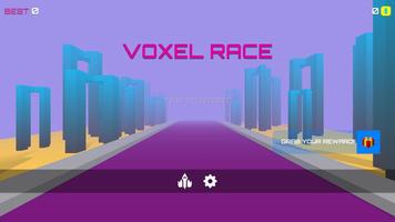 Voxel Race poster