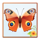 蝶の画面ロック アイコン