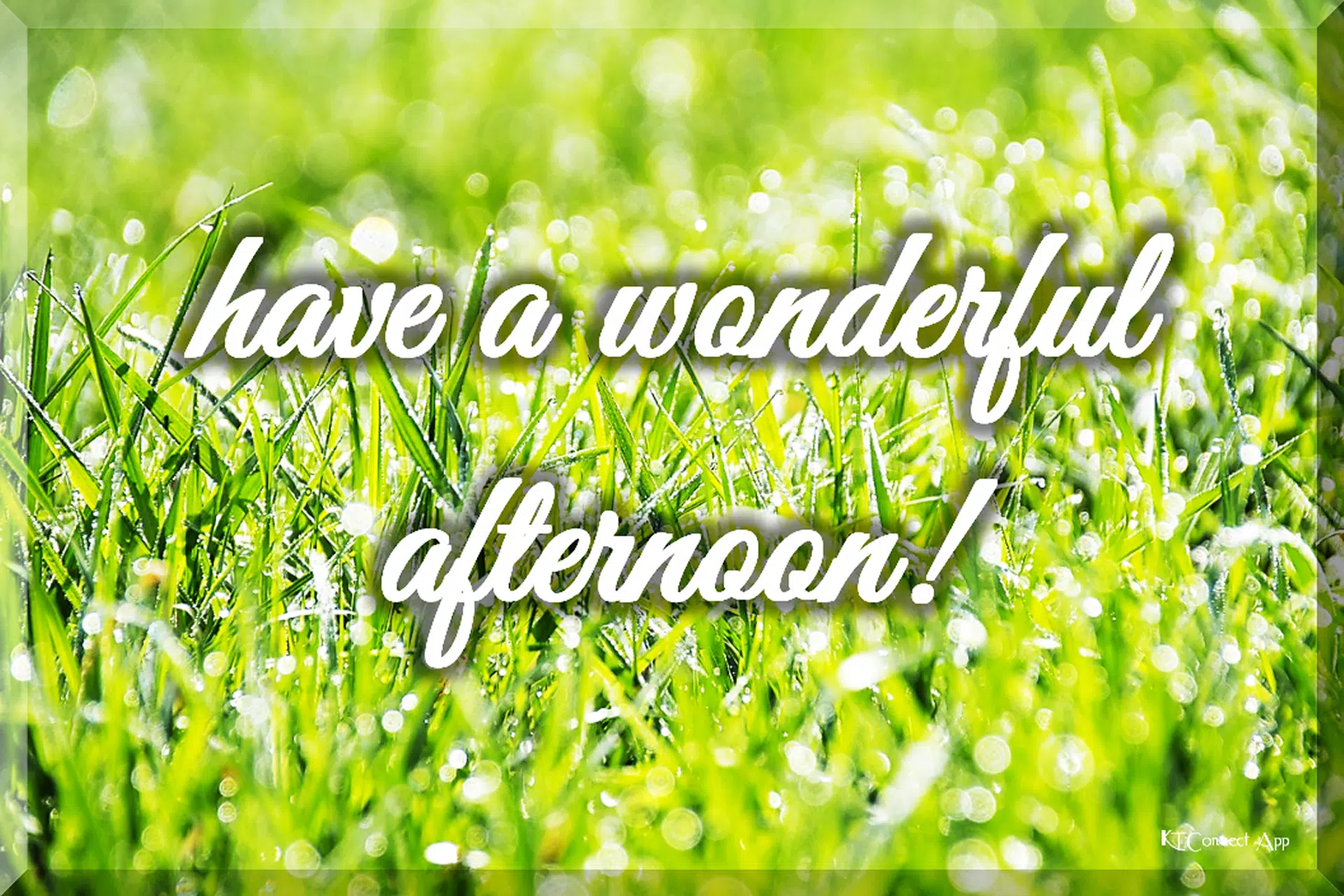 Good Morning Afternoon Evening Night For Android Apk Download