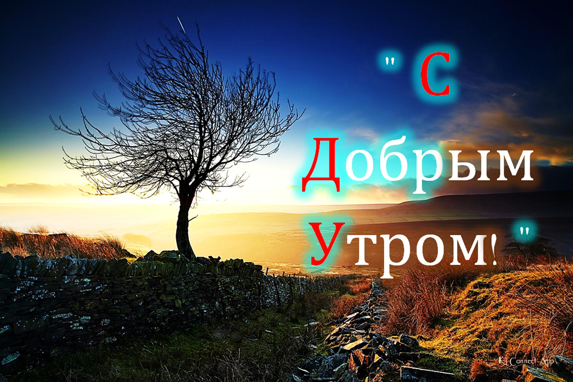 Доброе утро доброй ночи. Картинки с добрым утром и спокойной ночи. Доброе утро ночь. Доброе УТРОДОБРОЙ носи.