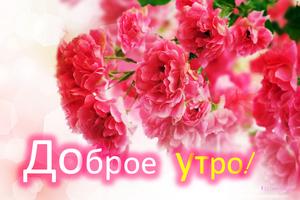 Доброе утро Доброй ночи syot layar 1