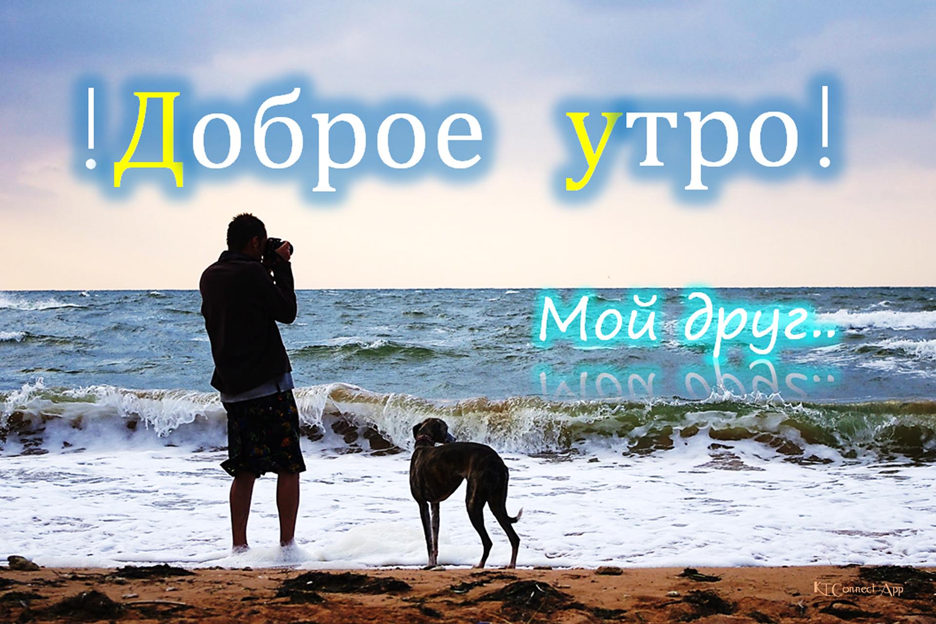 Доброе утро доброй ночи картинки