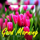 Beautiful Good Morning Cards 图标