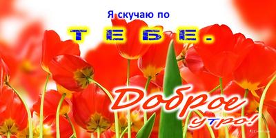 Доброе утро, день, ночи syot layar 2