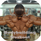 Gym and Fitness - Bodybuilder icône