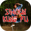 Shaolin Kungfu Videos