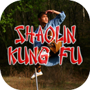 Shaolin Kungfu Videos APK