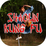 Shaolin Kungfu Videos 圖標